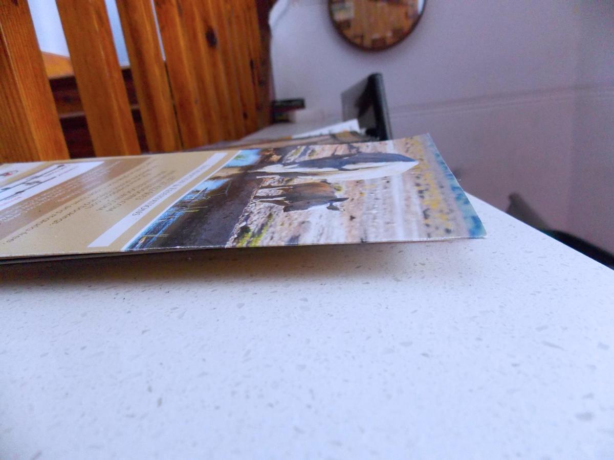 Trap Houz Backpackers Cidade Do Cabo Exterior foto